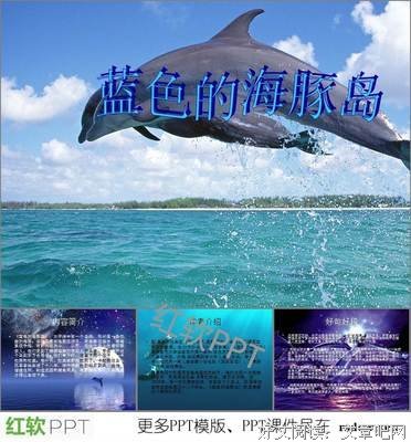 《蓝色的海豚岛》佳句摘抄