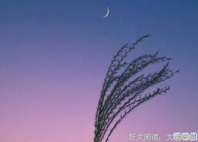 最全的《一事变想一二，不思八九》经典语句