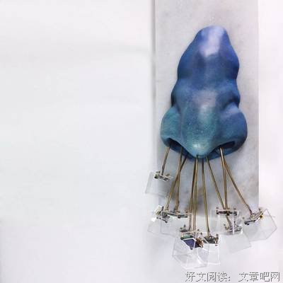 《心碎画廊》的观后感大全