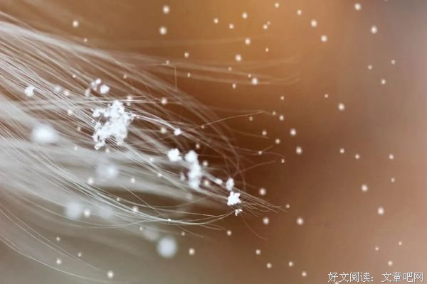守一颗素心，听一场雪落