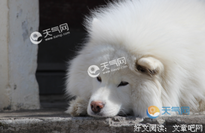 宇非伤感语句