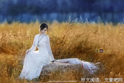 伊人舒语