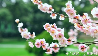 随笔的优美句子