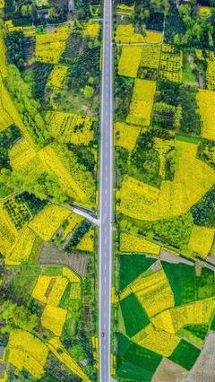 写给你的诗