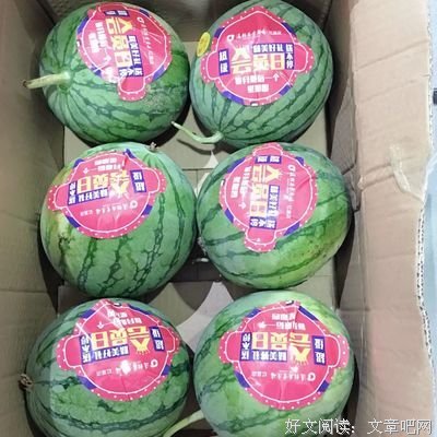 孩子。点这儿。准好 的优美句子
