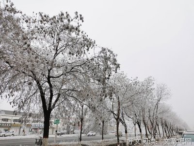 最新的初晨名言大全