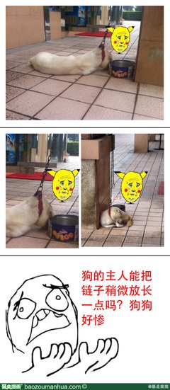 有关南南的名句