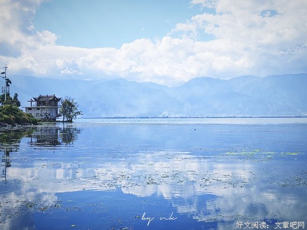 上海的风花雪月读后感100字