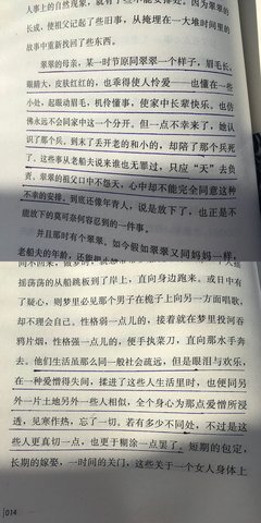 边城读后感锦集