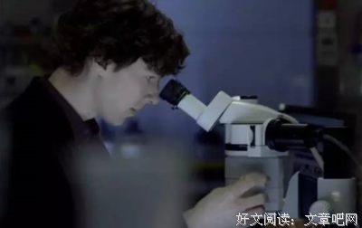 关于无言以对的格言