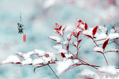 《冬天里的春天（全二册）》的读后感大全