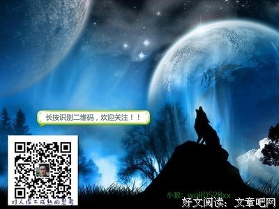 《对冲基金投资指南》的读后感大全