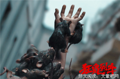 《狂鼠列车》好看吗？经典影评锦集