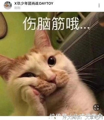 《面包和汤和猫咪好天气》观后感摘抄