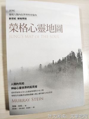 《荣格与分析心理学》读后感1000字