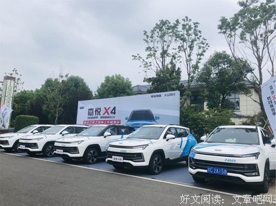《中国最强音》观后感摘抄