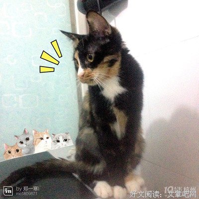 《寄养家庭 第一季》好看吗？经典影评锦集