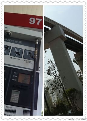 《放手爱》经典观后感1000字