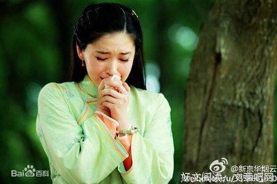 《新京华烟云》经典观后感集