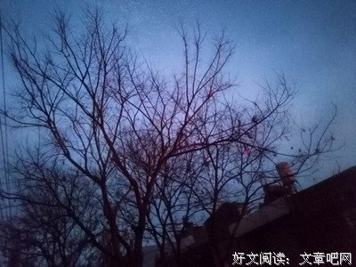 华殇句子
