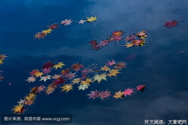 苦色调经典名句