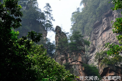 《一汪溪水向情深》的句子