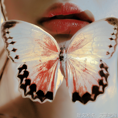 蝴蝶再美，终飞不过沧海~的句子