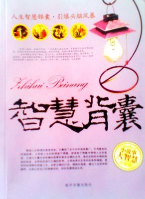 《智慧背囊》的读后感大全