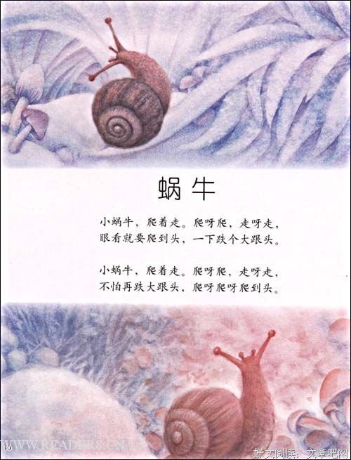 夏天在倒塌经典读后感有感