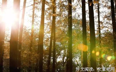小心谨慎格言警句