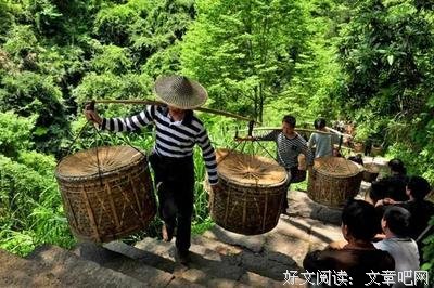 不可逆转的名句_关于不可逆转的名句