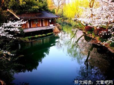 《曲院风荷》读后感精选