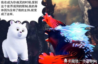 《灰色的灵魂》读后感100字