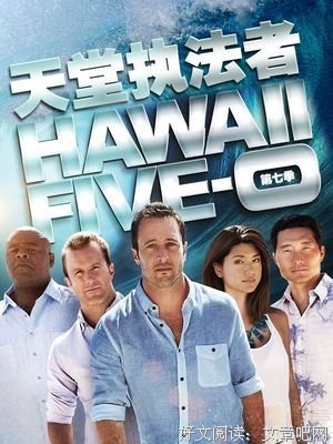 《夏威夷特勤组 第四季》好看吗？经典观后感锦集