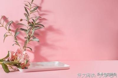 有关传宗接代的美句摘抄