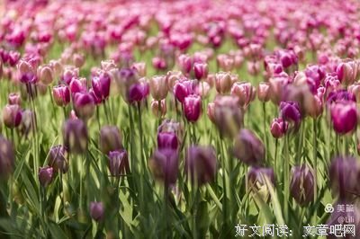 有关漫漫人生路，唯你而已的句子