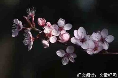 说给自己听优美的句子