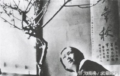 林徽因张爱玲徐志摩好词好句