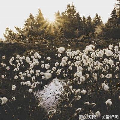 微笑档案经典的句子
