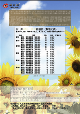 《巧克力味的暑假/阳光姐姐小书房》读后感摘抄