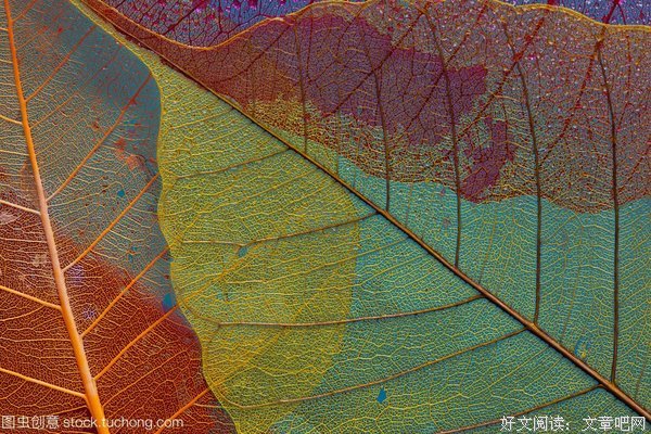 最经典的叶三名言
