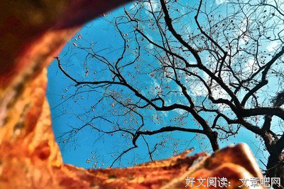 最经典的叶里座右铭
