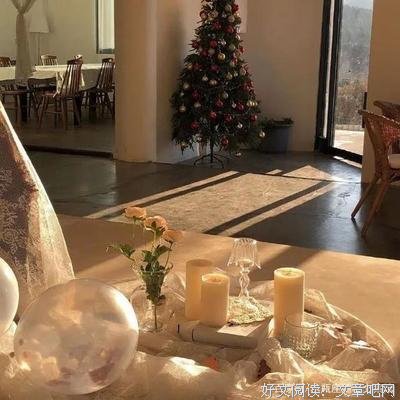 最经典的《听说星星陨落了》语录摘抄大全