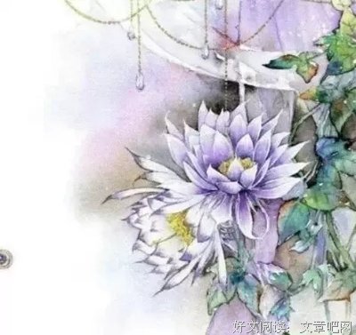 最新的《择的心只着》经典的句子