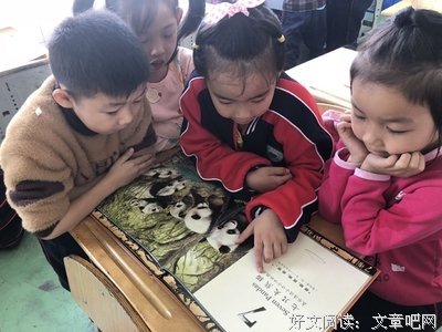 爱的哲学经典读后感有感