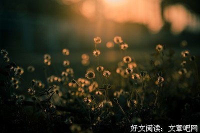 关于画地为牢的唯美语录