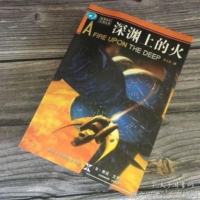 深渊上的火读后感摘抄