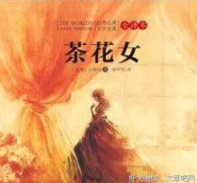 茶花女的读后感大全