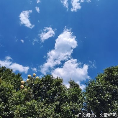 《最有意义的生活》读后感锦集
