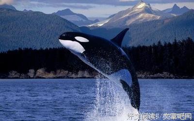 举重若轻的语句摘抄_关于举重若轻的语句